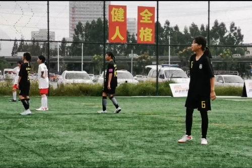 山西翔宇足球最新爆料,揭秘球队备战新赛季的神秘计划